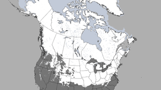 This image shows snow covering nearly half of the U.S. and most of Canada on March 26, 2013. 
