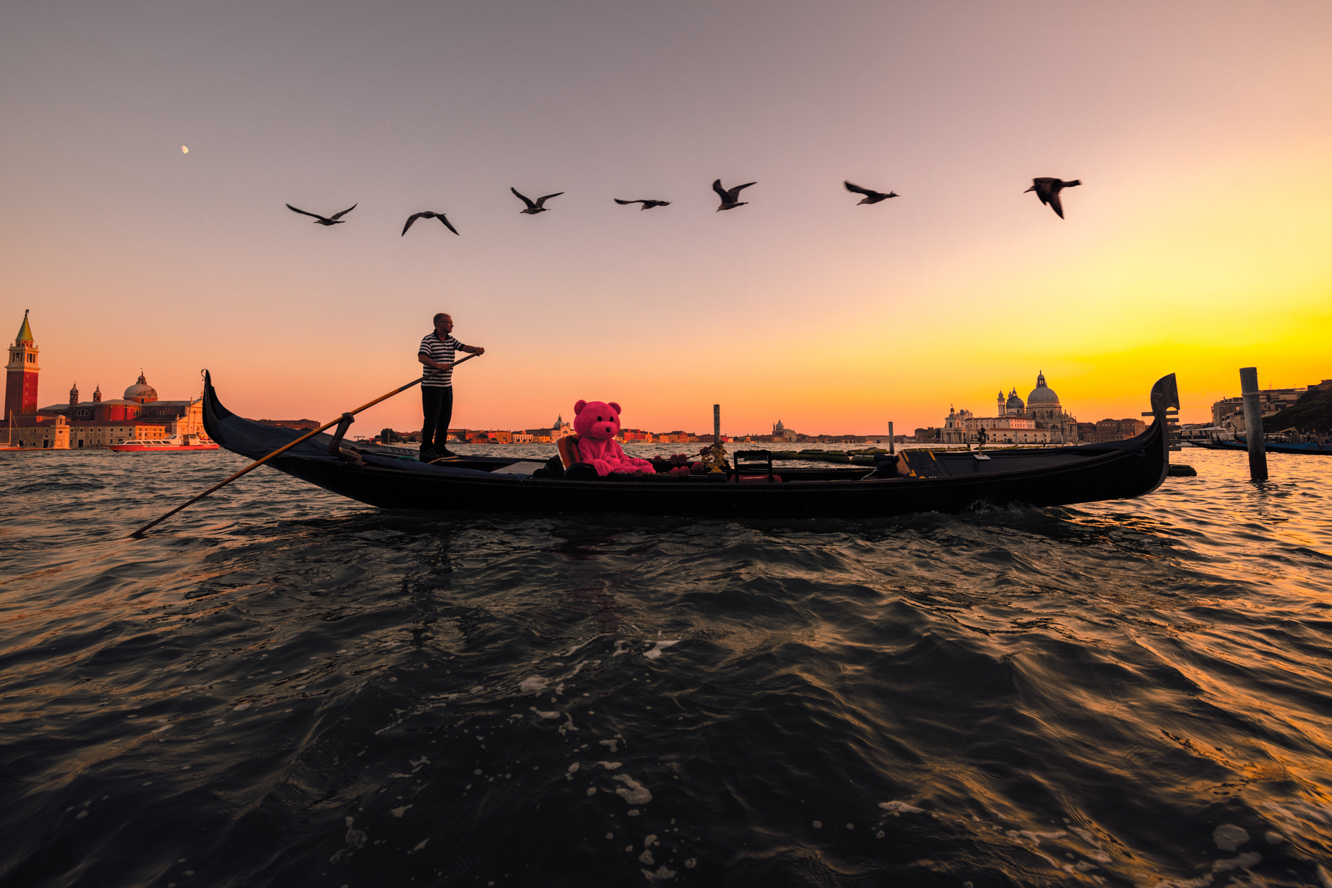 Pink bear on a Gondala in Venice