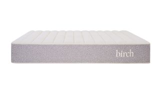 The Birch Natural Mattress on a white background