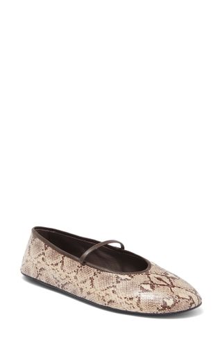 Jeffrey Campbell + Arabesque Ballet Flat