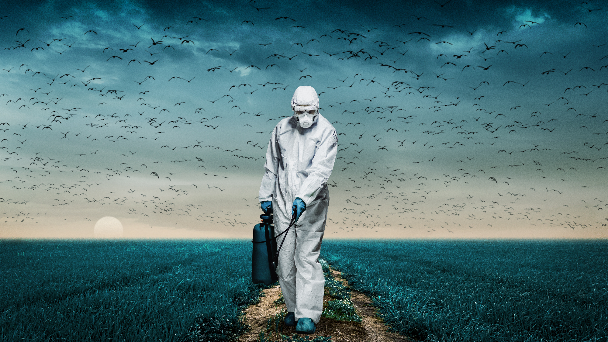  How prepared are we for human bird flu? 