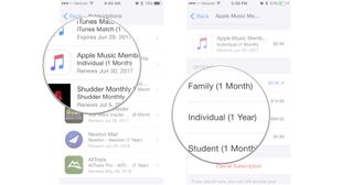 Tapp Apple Music Membership, then tap Individual 1 Year
