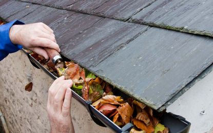 7. Clean out the gutters