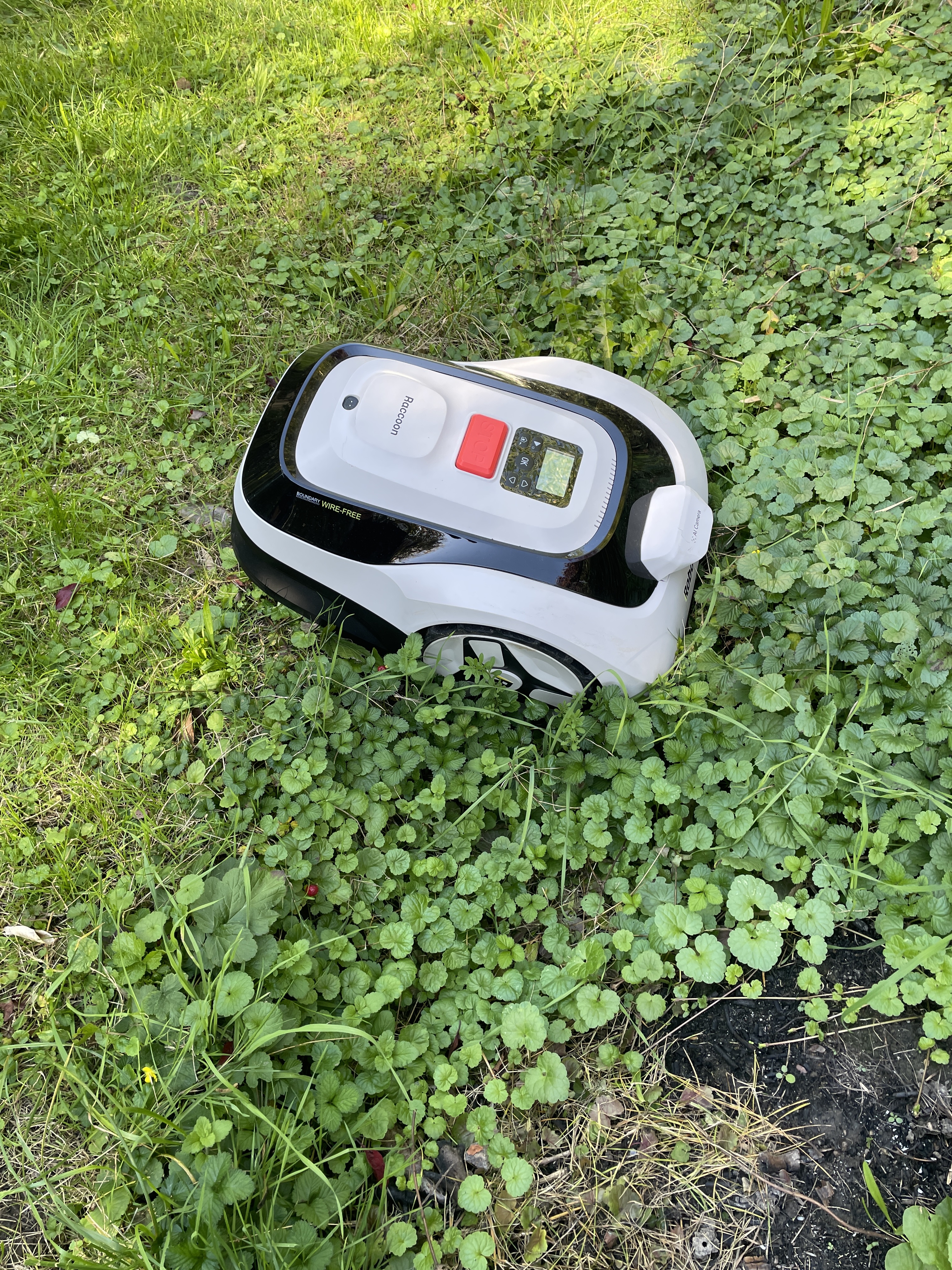 le robot tondeuse raccoon 2 SE de RoboUp coinc&amp;eacute; dans une orni&amp;egrave;re