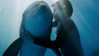Boy and dolphin in Dolphin Tale
