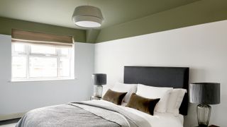 green bedroom idea with green painted ceiling and white walls
