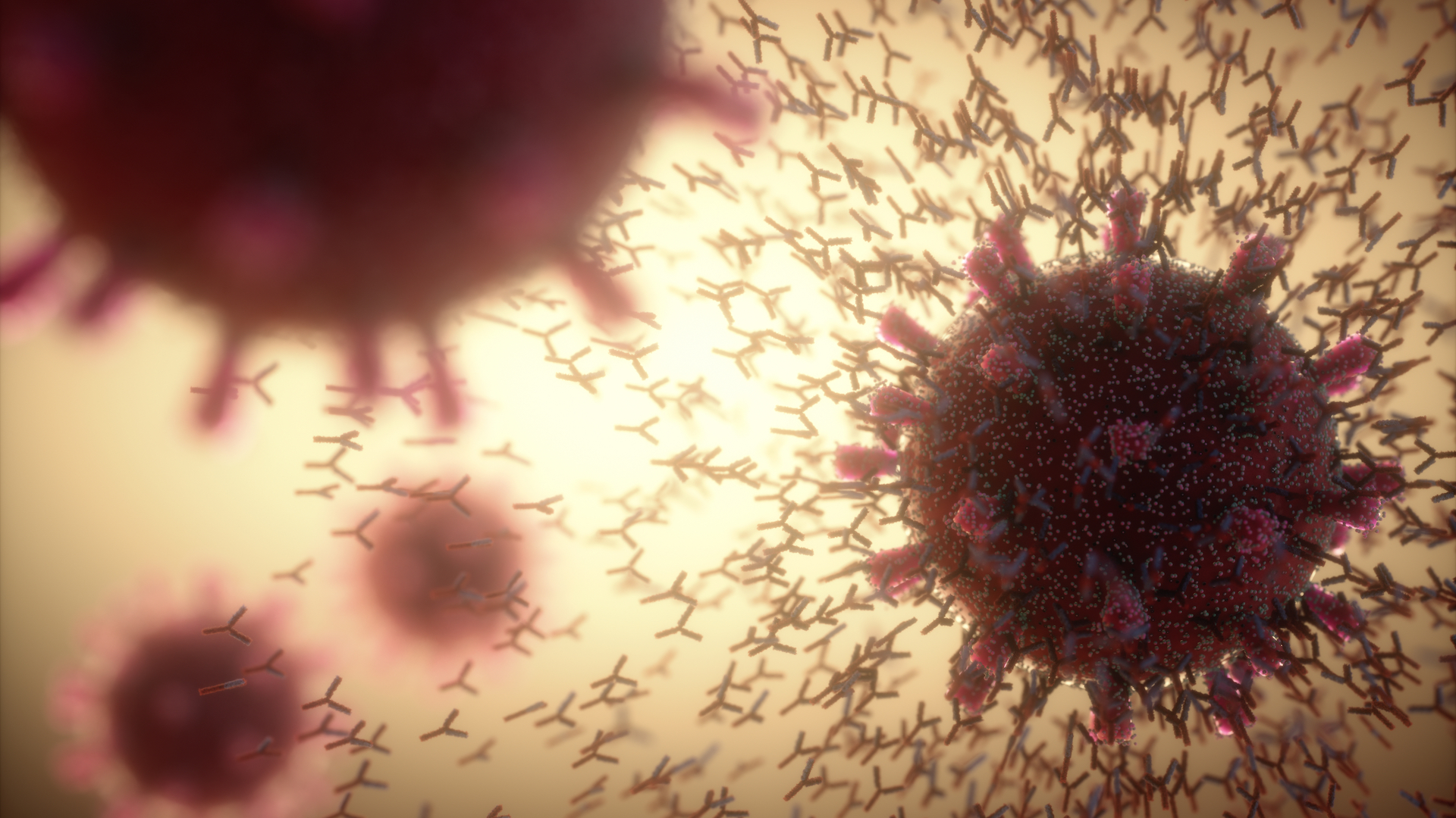 A rendering of Y-shaped antibodies attacking RNA virus molecules