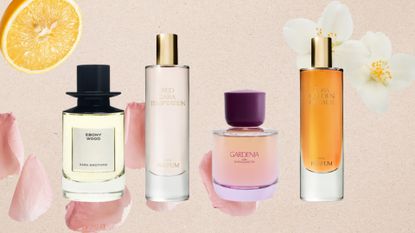 A collage featuring a selection of the best Zara perfumes, on a beige background with stock images on an orange slice, rose petals and white flowers to demonstrate their fragrance notes.