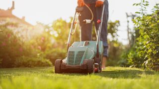 How often to mow your lawn