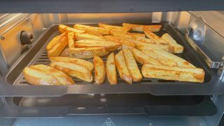 Cooked home made fries in the proscenic t31