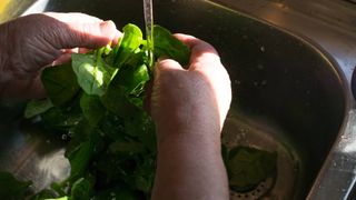 how to cook spinach
