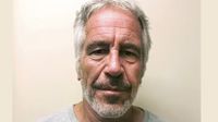 A mugshot of Jeffrey Epstein from 2017.