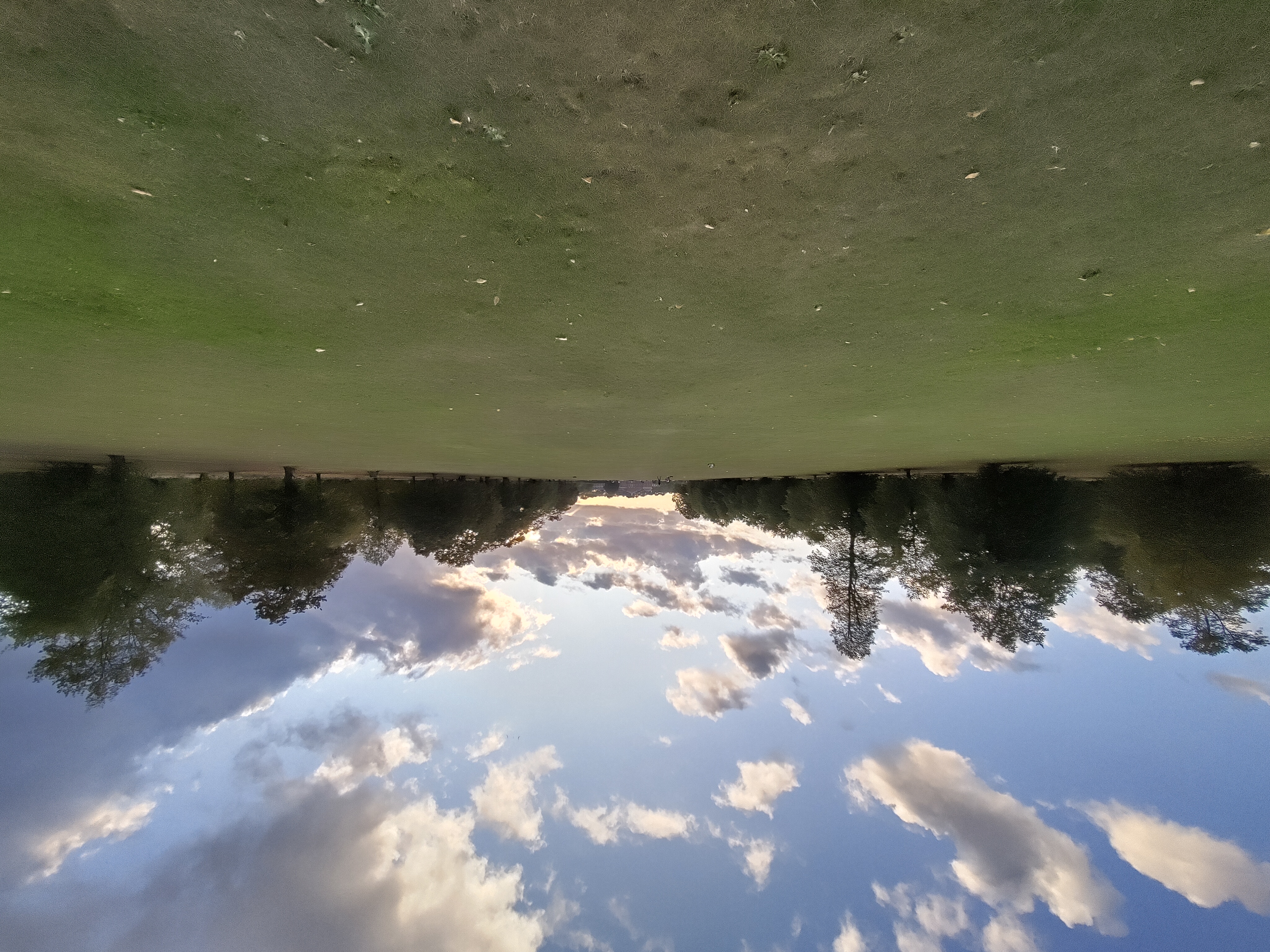 A Fairphone 5 camera sample