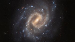  A broad spiral galaxy seen directly face-on. It has two bright spiral arms that extend from a bar, which shines from the very centre. Additional fainter arms branch off from these, studded with bright blue patches of star formation. Small, distant galaxies are dotted around it, on a dark background.