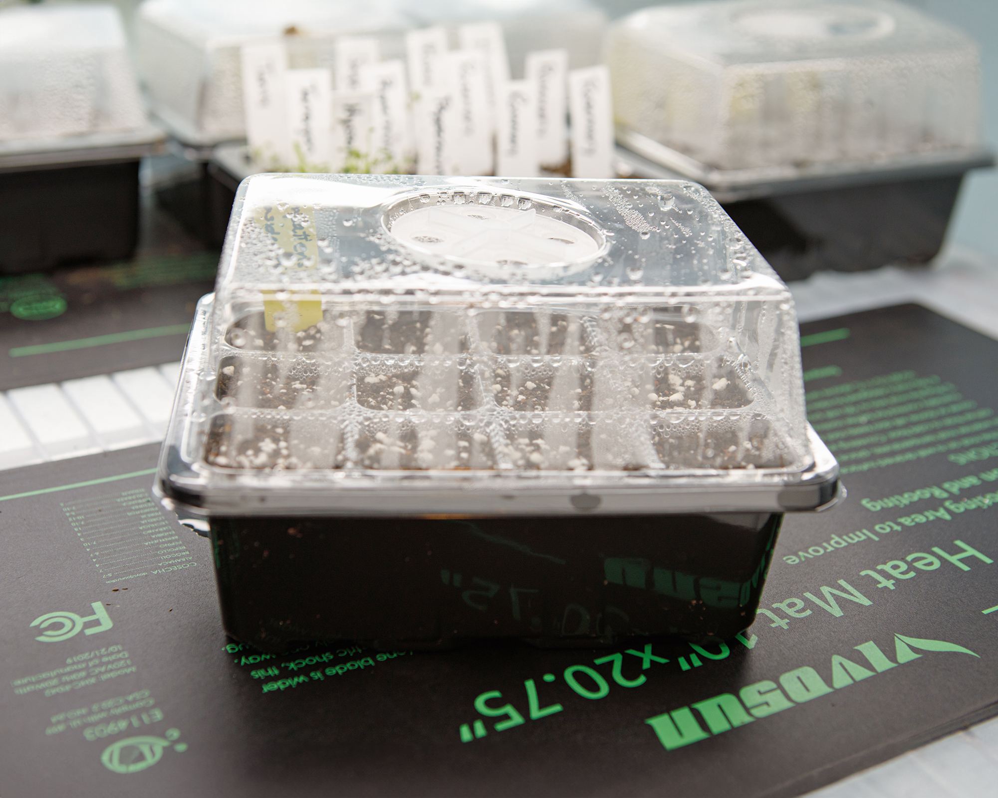 Small seed starting tray and cell pack with a humidity dome germinating on a heat mat