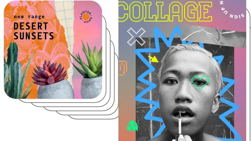 Colouful collage featuring young woman applying lipstick and desert plants