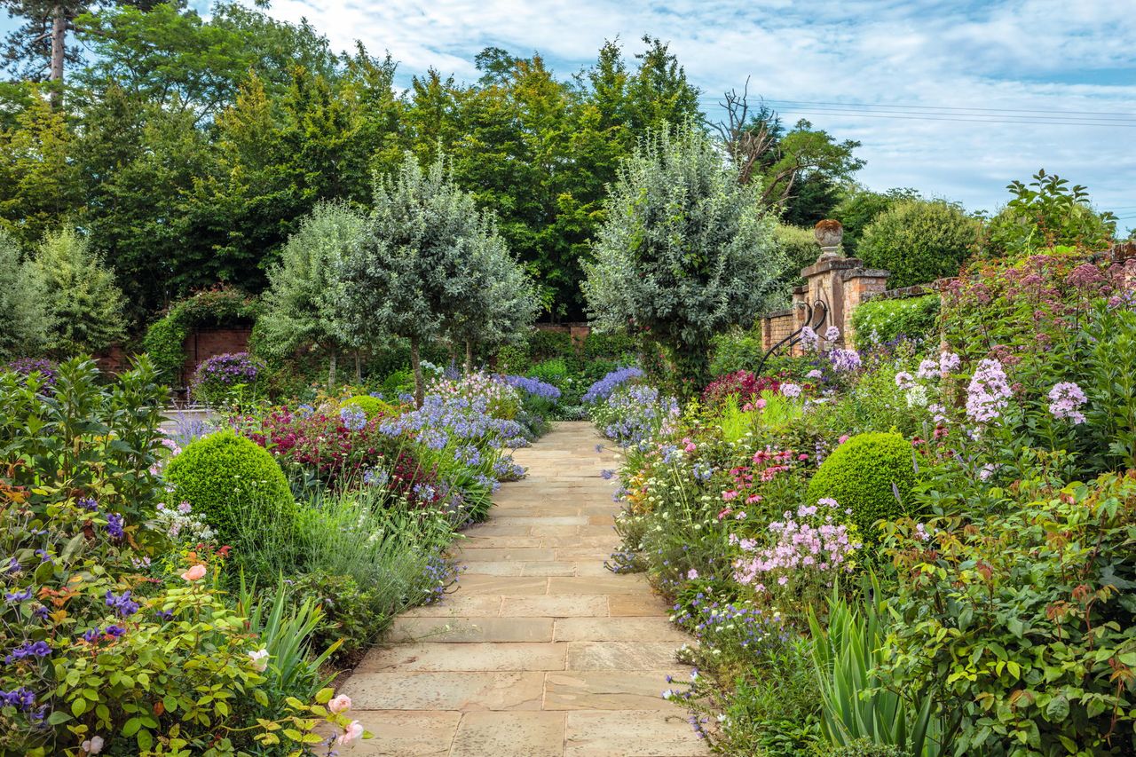 Come summer, hazel and willow supports in the South Garden disappear under flowers.