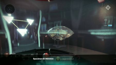 Destiny 2 Specimen NES003 Wyvern shield-wing in tank