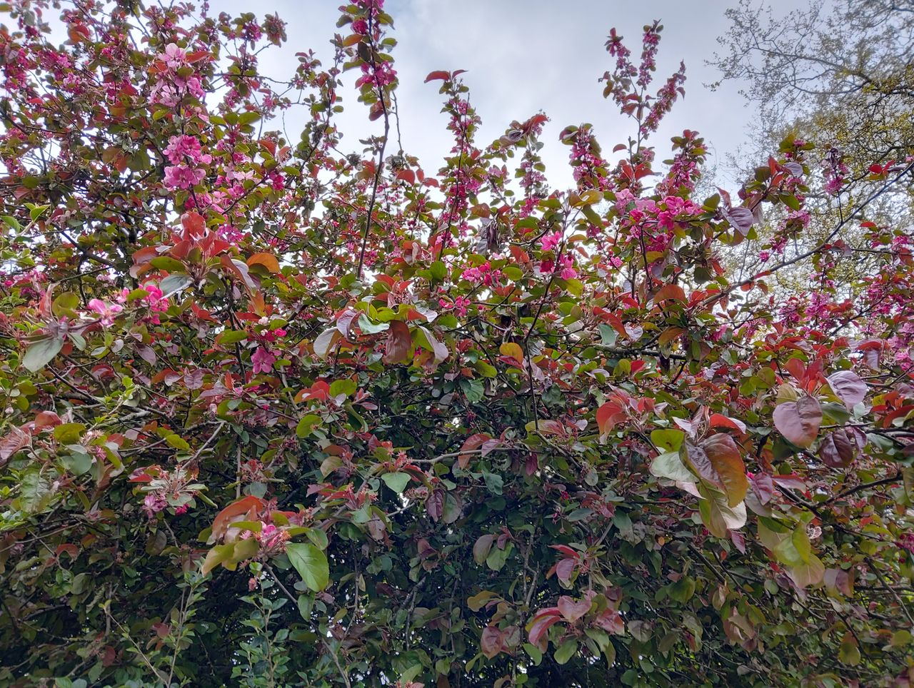 A photo taken on the Nubia Flip 5G