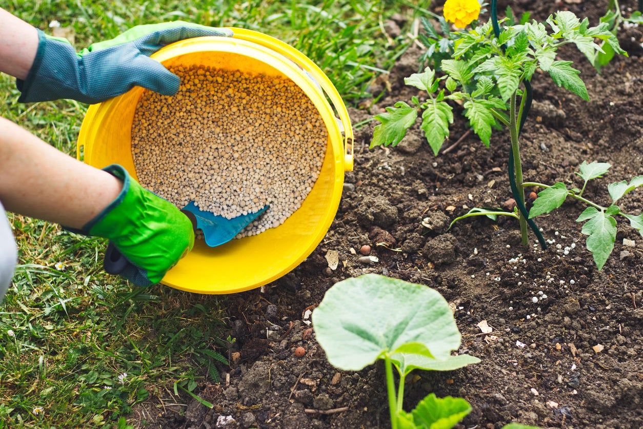 Fertilizing Garden Plants