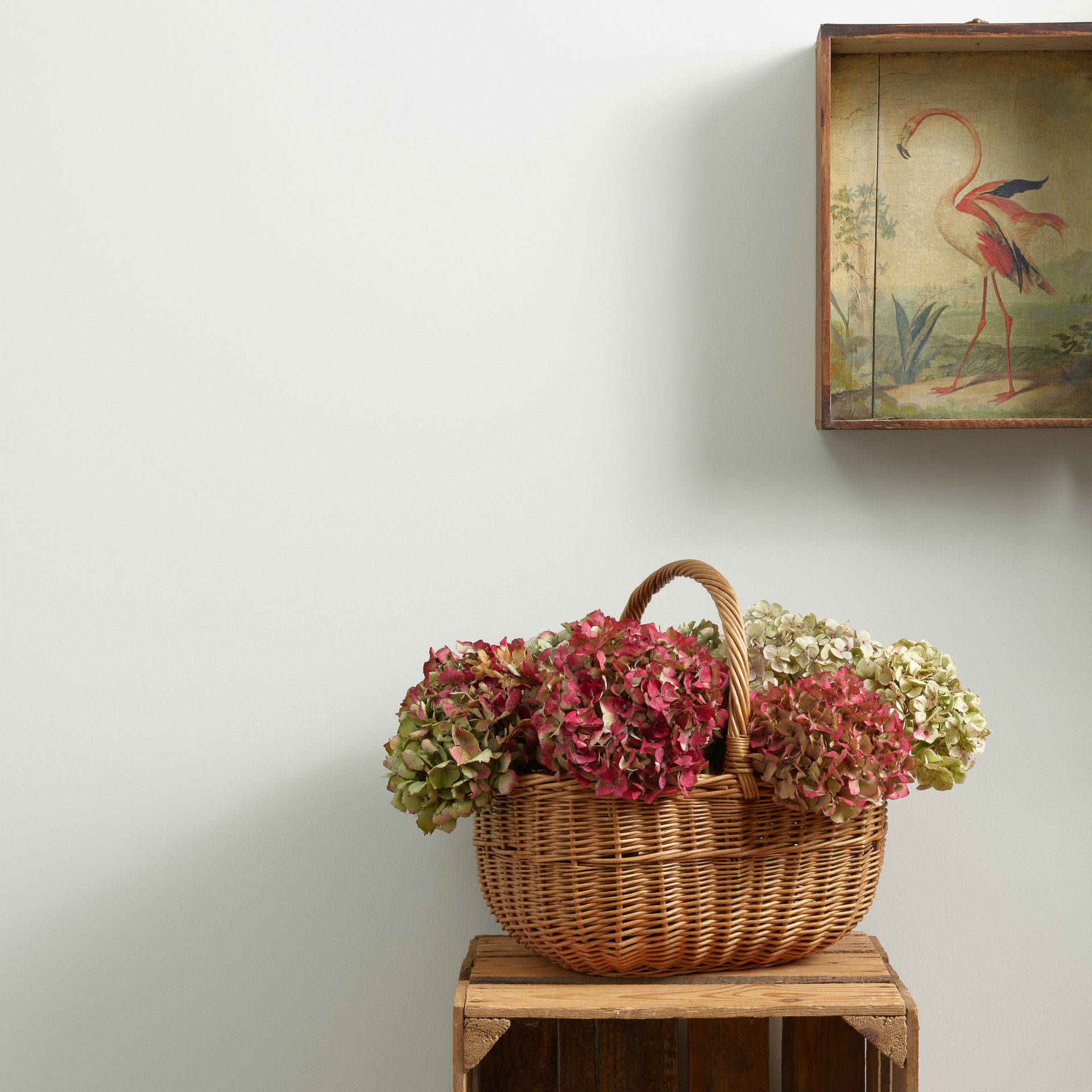 Frenchic Paint x Samaritans collaboration