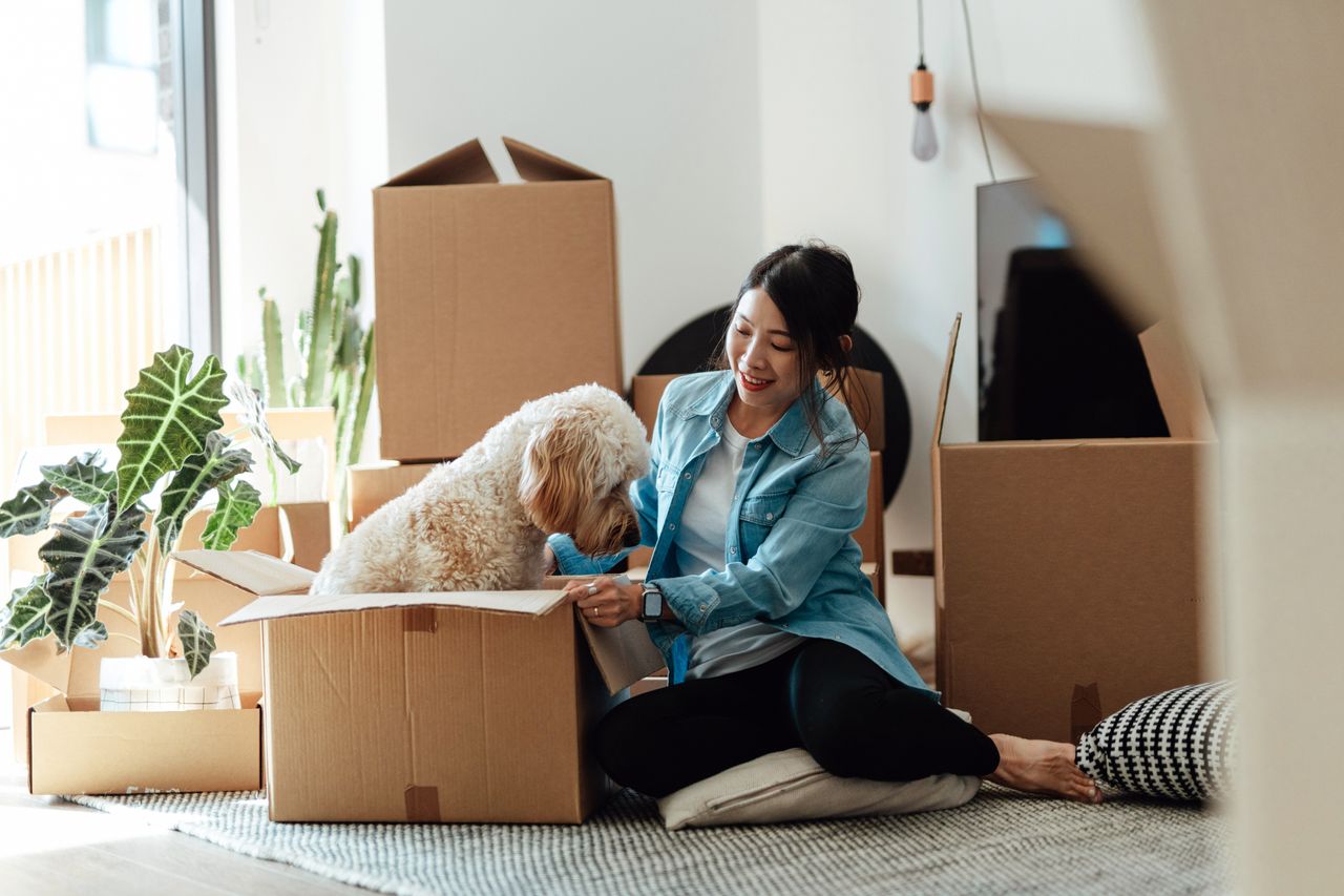 Woman packing her belongings to move house, while her pet dog sits in one of the boxes