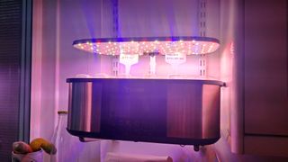 Letpot hydroponics grow system LED lights