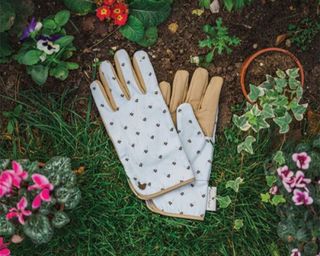 Bee patterned gardening gloves in garden from Glorious Grouse