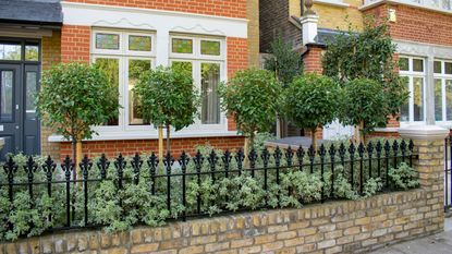 traditional metal wall railing ideas on a brick wall in a front garden