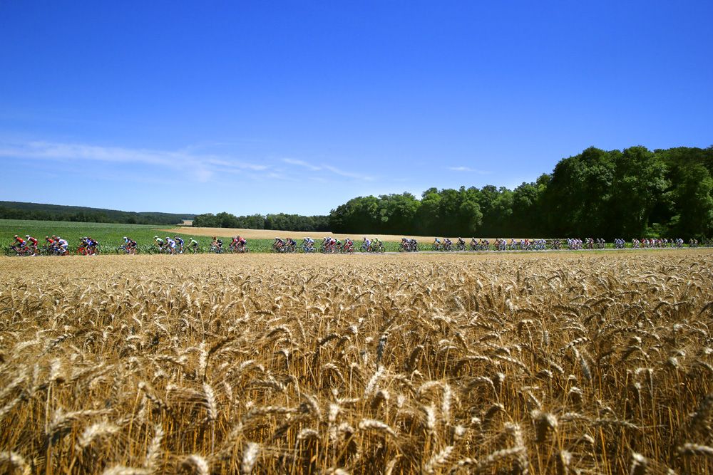 A view across the fields