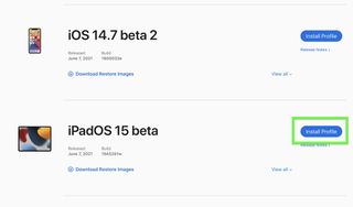 iPadOS 15 beta developer step 5 — install profile