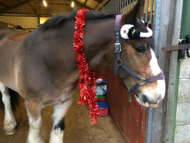 Hovis-Christmas2-e1513866661177.jpeg