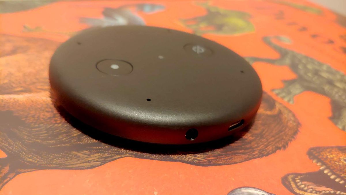 Amazon Echo Input review | TechRadar