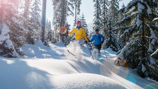 Austria, Salzburg Country, Altenmarkt-Zauchensee, Young couple cross country skiing