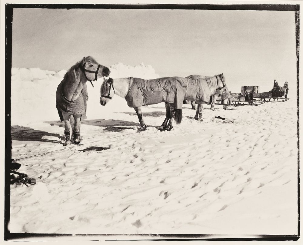 In Images: Antarctic Explorer Robert Falcon Scott's Last Photos | Live ...