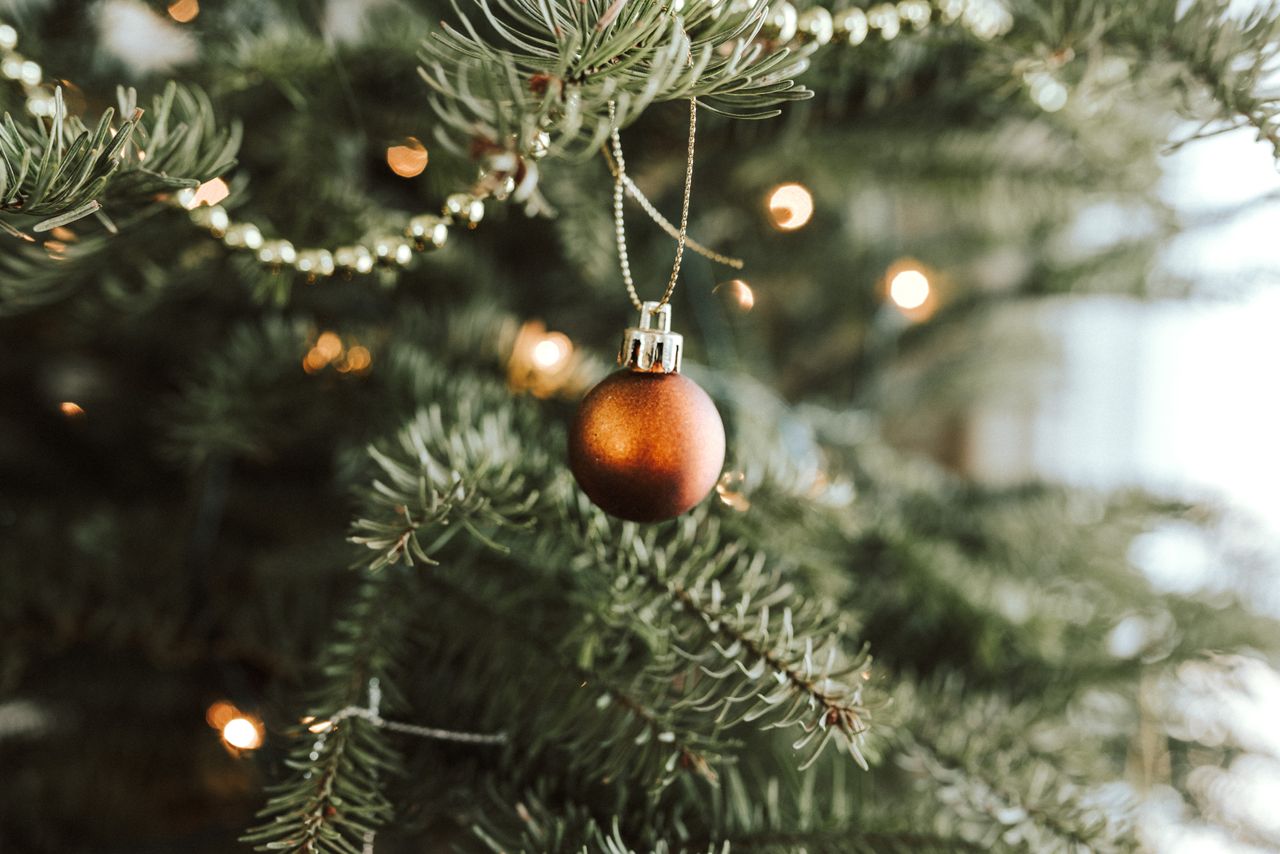 A picture of a red bauble on a Christmas tree