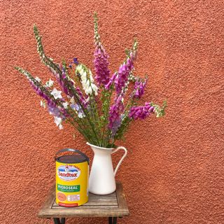 Terracotta pebbledash wall with a white vase of flowers and a tin of paint sitting on a table in front