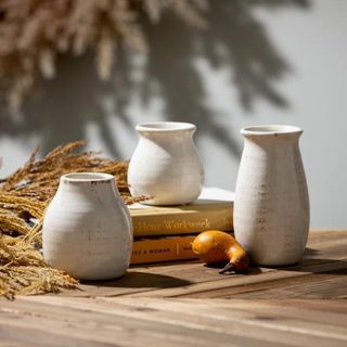 Three white ceramic vases from Wayfair