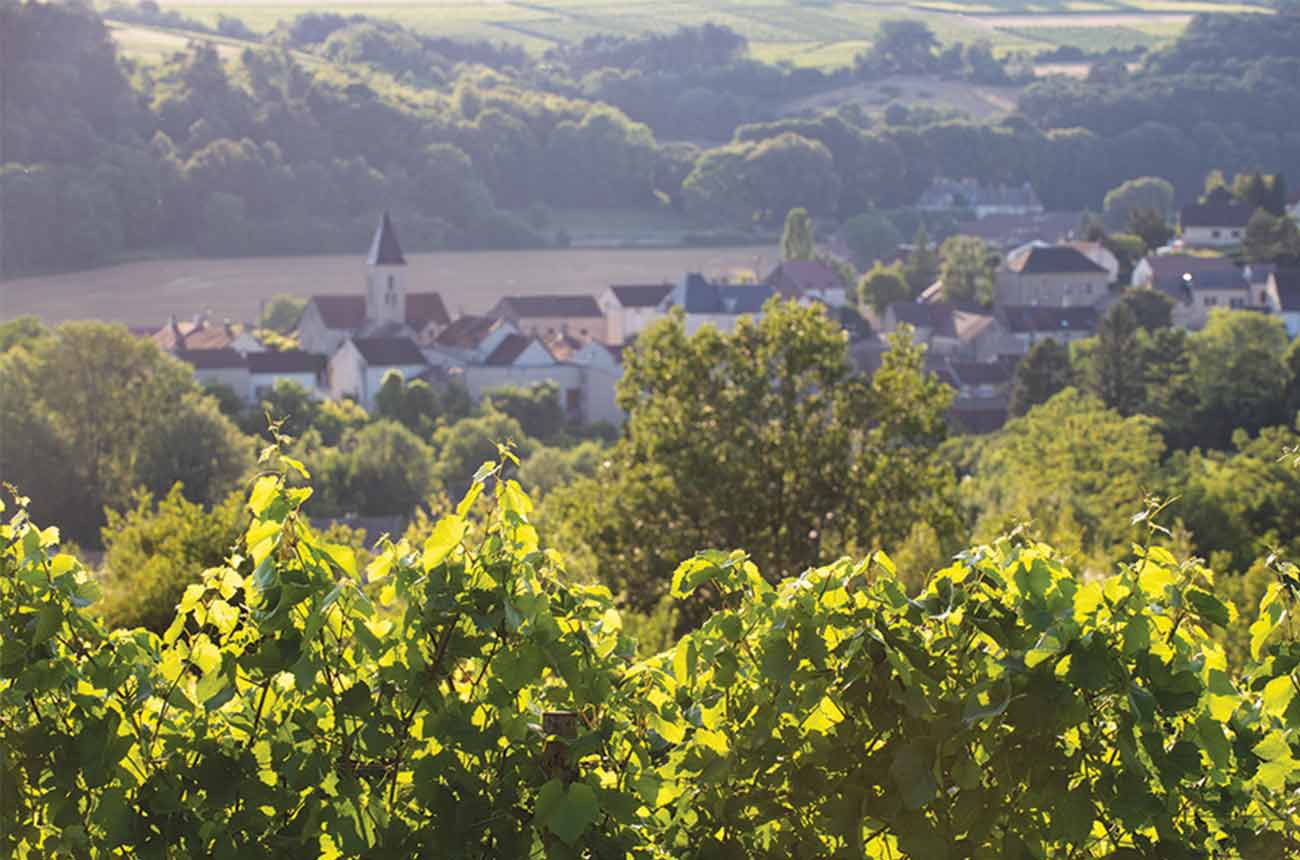 Echevronne in the C&amp;ocirc;tes de Beaune region of Bourgogne