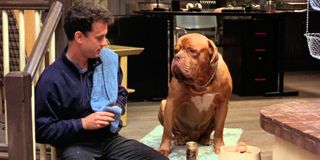 Tom Hanks and Beasley the Dog in Turner and Hooch