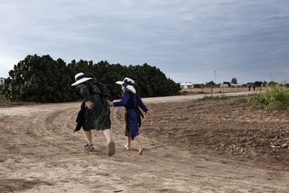 The Mennonites of Bolivia.