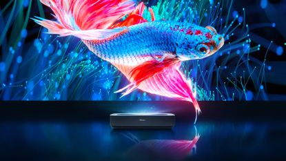 Hisense PL1SE laser projector showing huge image of a fish