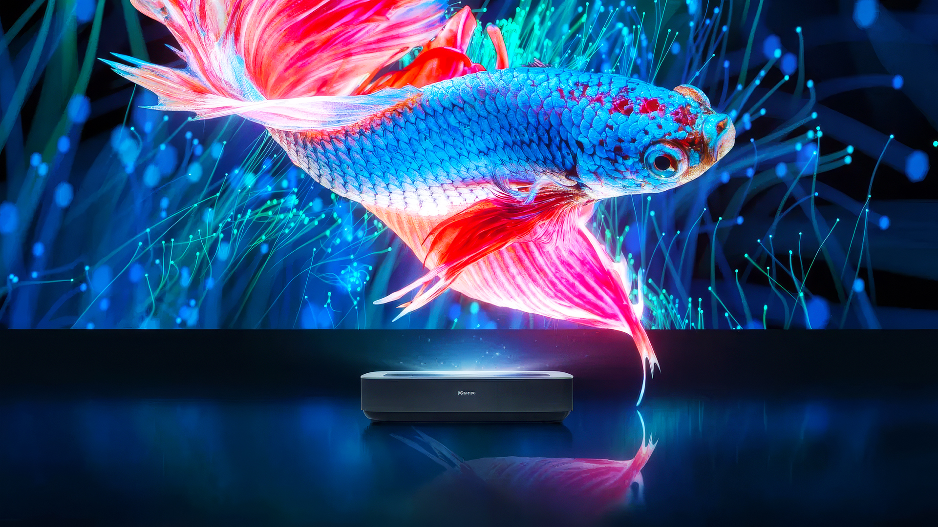 Hisense PL1SE laser projector showing huge image of a fish
