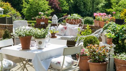 A Plastic Bin Garden - Laidback Gardener