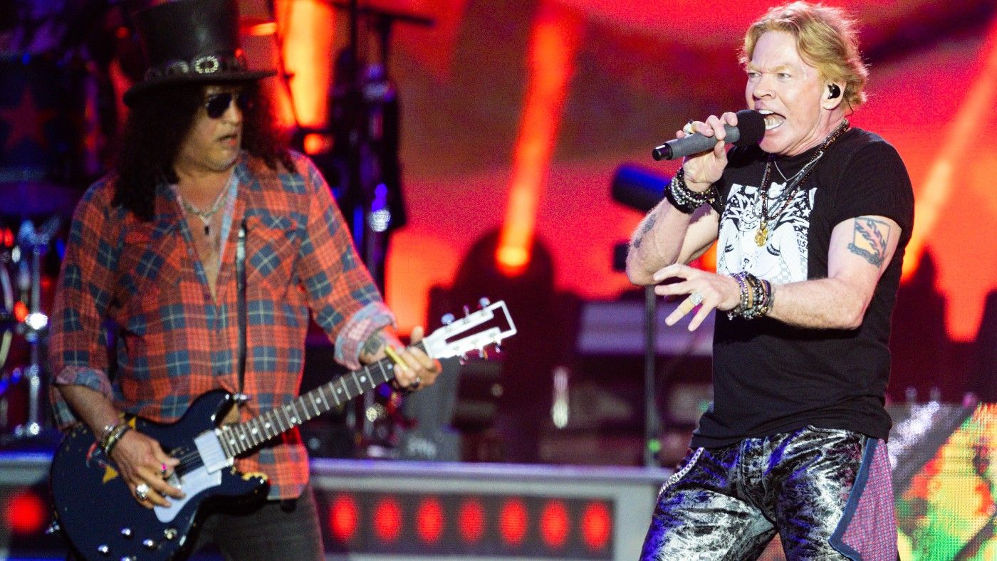 Baby owls found at Guns N’ Roses gig