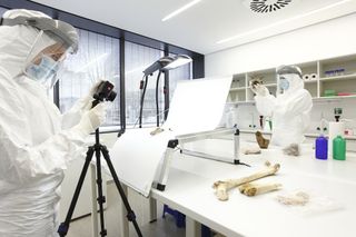 skeletons studied for DNA analysis