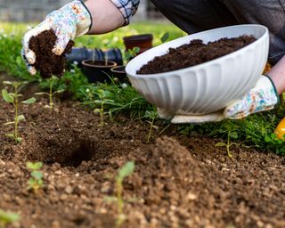 person adding compost to a garden bed