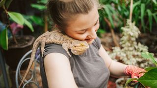 Best exotic pets - Bearded dragons