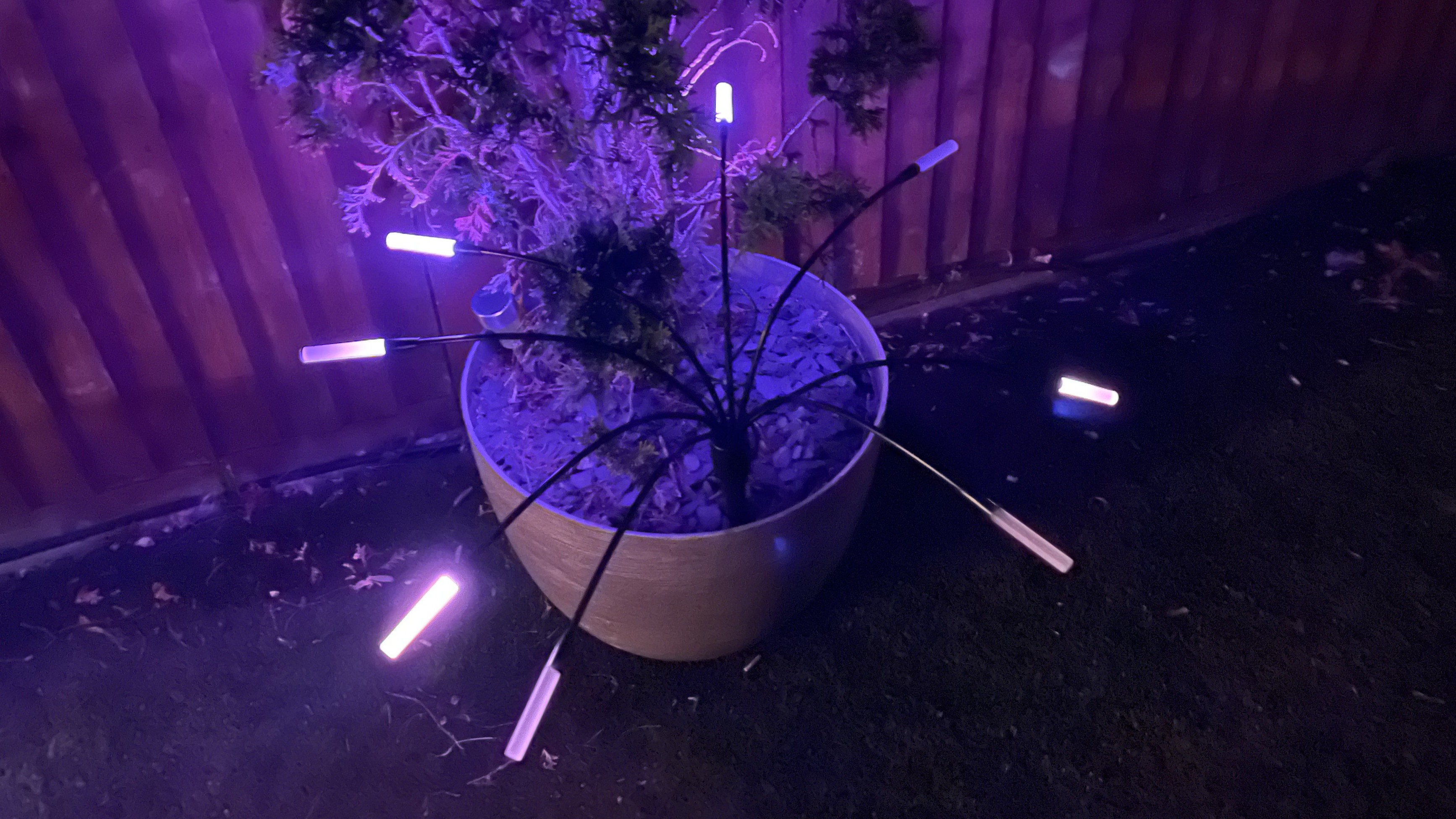 Nanoleaf Solar Outdoor Lights in garden