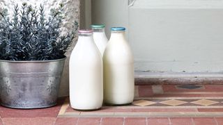 Milk & More: Milk on doorstep